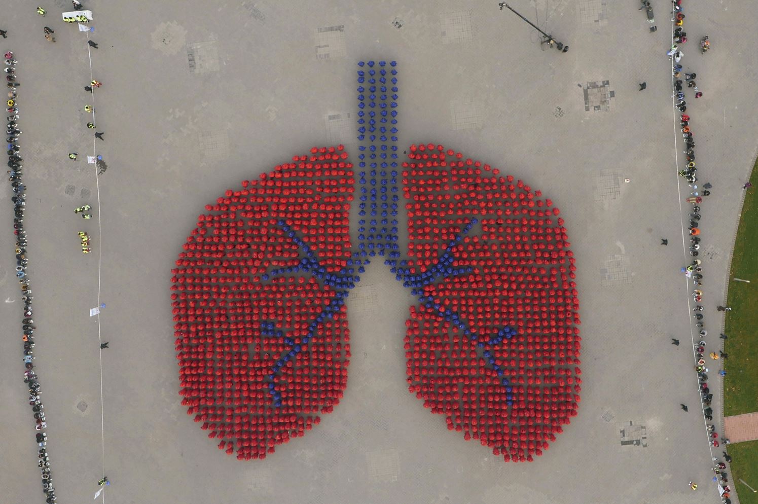 Полторы тысячи человек изображают лёгкие в Пекине, надеясь повлиять на экологическую обстановку. Они попали в книгу рекордов Гиннеса за самое крупное изображение человеческого органа.